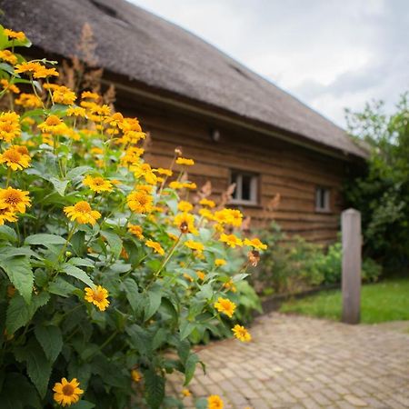 Aan De Aelder Esch Bed & Breakfast Aalden Eksteriør bilde