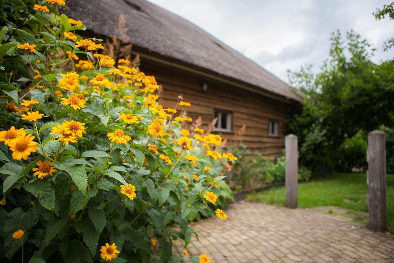 Aan De Aelder Esch Bed & Breakfast Aalden Eksteriør bilde